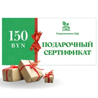 Подарочный сертификат на 150 BYN в Фаниполе