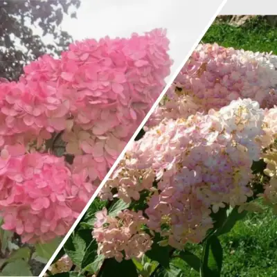 Комплект МНОГОГРАННОСТЬ в Фаниполе