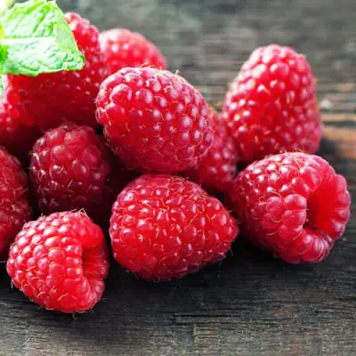 Малина ЭРИКА в Фаниполе