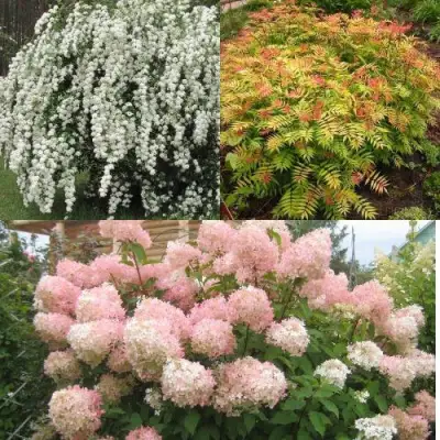 Комплект ФЕЙЕРВЕРК ЛЕТА в Фаниполе