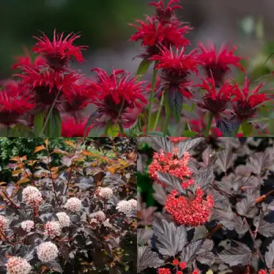 Комплект ОГНЕННЫЙ МИКС в Фаниполе