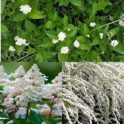 Комплект СКАНДИНАВСКИЙ СТИЛЬ в Фаниполе