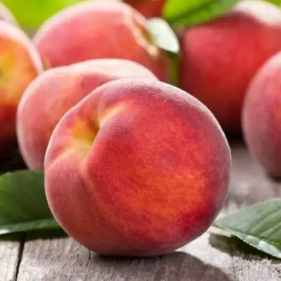 Персик МАЙСКИЙ ЦВЕТОК в Фаниполе