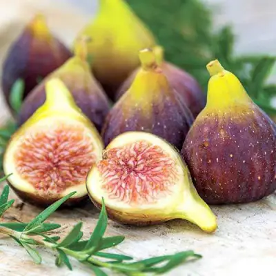 Инжир НИКИТСКИЙ в Фаниполе