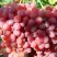 Виноград КИШМИШ КРАСНЫЙ в Фаниполе