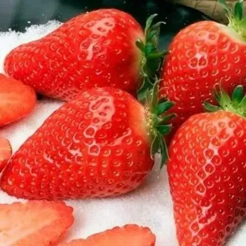 Клубника АЛЬБА  Клубника АЛЬБА в Фаниполе