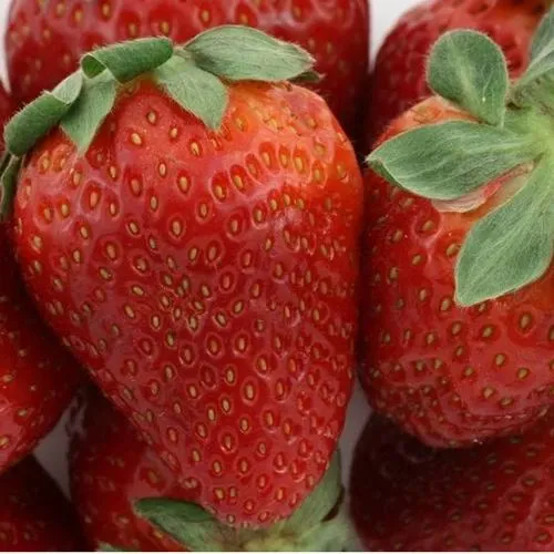 Клубника ФЛАМИНИЯ  Клубника ФЛАМИНИЯ в Фаниполе