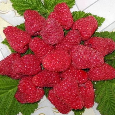 Сладкая в Фаниполе