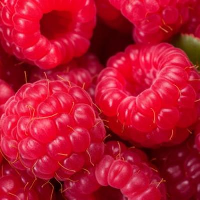 Красная в Фаниполе