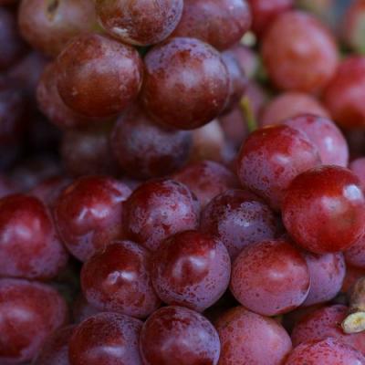 Красный в Фаниполе