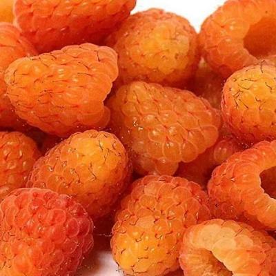 Оранжевая в Фаниполе